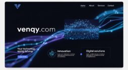 venqy com
